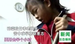 最新熟酱新闻爆料,揭秘最新爆料背后的行业变革